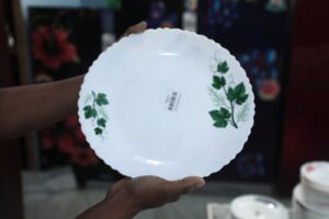 10.5" Deep Plate-B-Assorted